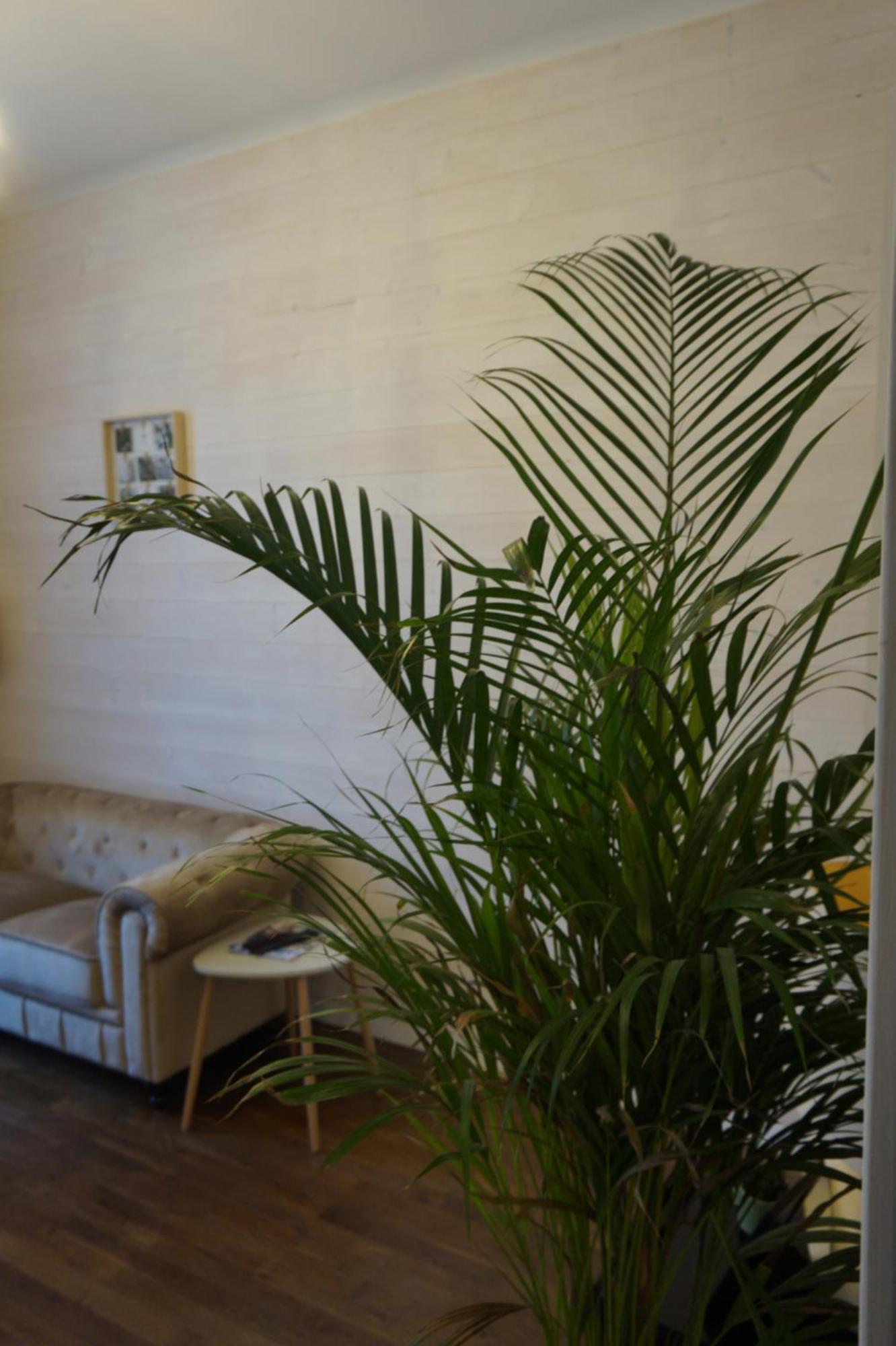 L'Experience Appartement & Spa Prive Chambéry Exteriér fotografie